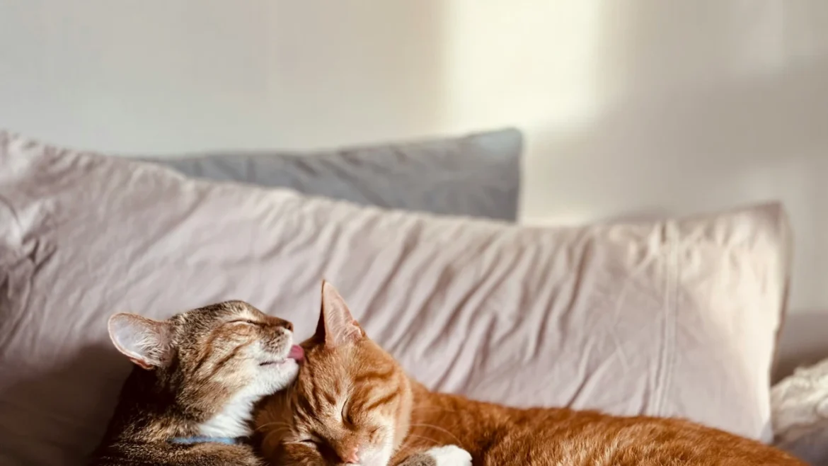 5 Intimacy Exercises You Can Try at Home Tonight